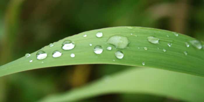 natural-hemorrhoids treatments